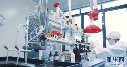 重慶榮昌 頭尾相連，串出農業價值鏈技術推廣新篇章