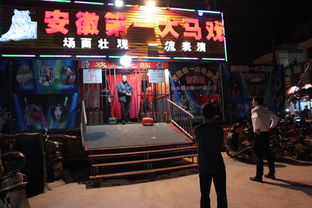 惠州市營業(yè)性演出管理規(guī)范與文化活動發(fā)展探討