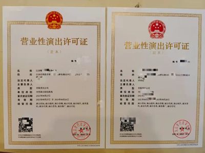 高新區(qū)戲劇營業(yè)性演出許可證辦理指南